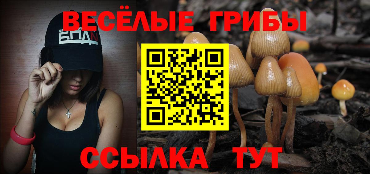 Псилоцибиновые грибы MAGIC MUSHROOMS  Вход с VPN  Волгодонск  Галлюциногенные грибы Cubensis 